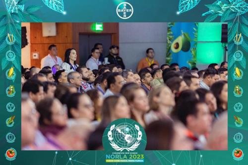 convencion-norla126